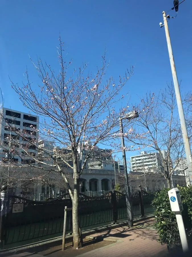 셰어 하우스 온 더 힐 요코하마 게스트하우스